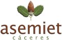 ASEMIET Logo